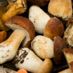 setas boletus dailyfood okchef